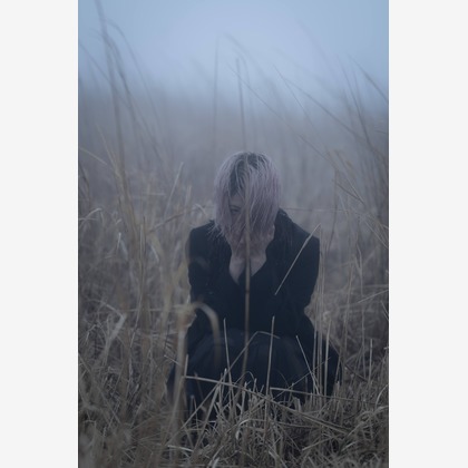 ならもとかずやが撮影した「:albumName」の写真