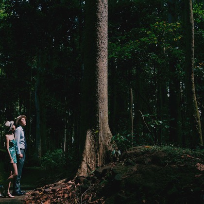 Trust photoが撮影したウェディングや家族、ビジネスの写真