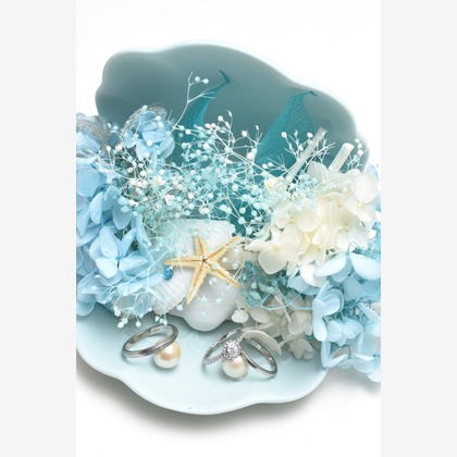 Photo of :albumName taken by TOMOPHOTOHawaii