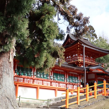 えむあんりみてっどが撮影したウェディングや家族、ビジネスの写真