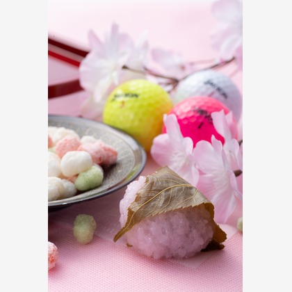 写真屋ごんちゃんが撮影した「:albumName」の写真