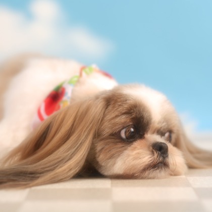 管野　利が撮影した「:albumName」の写真