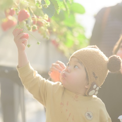 和Photographが撮影した「:albumName」の写真