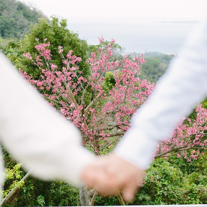 Koji Nishida Photographyが撮影した「:albumName」の写真