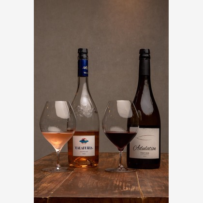 ポートレート沖縄が撮影した「:albumName」の写真