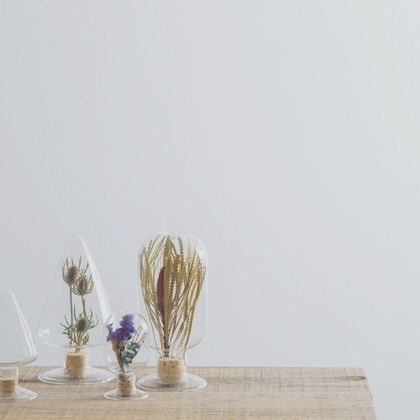 Yoppegraphy Photographic Serviceが撮影した「:albumName」の写真