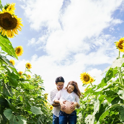 アトリエ　エピカ/清水　一哉が出張撮影した植物, 感情, 顕花植物などが写った「ひまわり畑　マタニティ」の家族写真