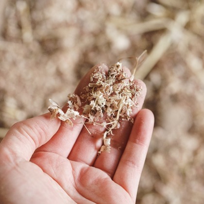 studio cactusが撮影した「:albumName」の写真