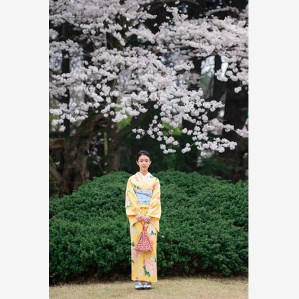 アラタンホヤガが撮影した「:albumName」の写真