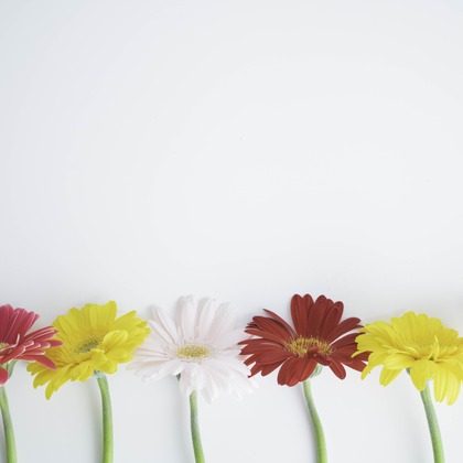 ミヤタカズコが撮影した「:albumName」の写真