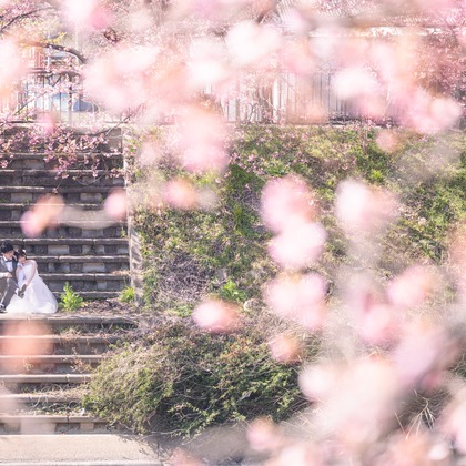 石田誠写真事務所が撮影した「:albumName」の写真