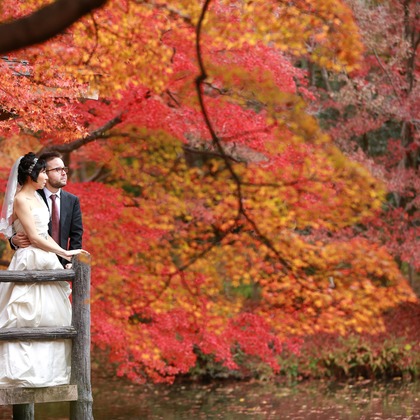 Photo of :albumName taken by Hayashi Photo Works