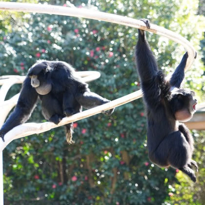 photographerTAKASUが撮影したその他の写真