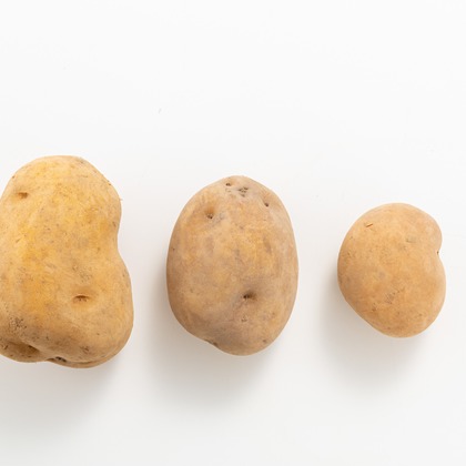 田畠久美子が撮影した料理撮影/商品/物撮りの写真