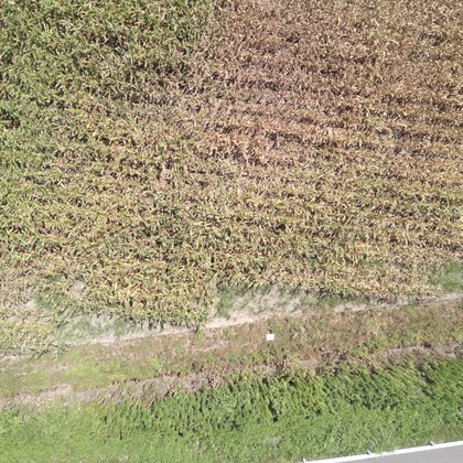 アナハイムエレクトロニクスが撮影したその他の写真