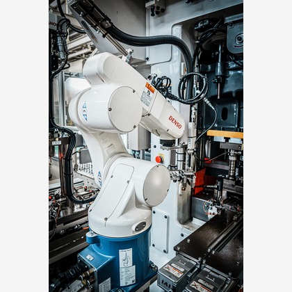 F写真事務所が撮影した「:albumName」の写真