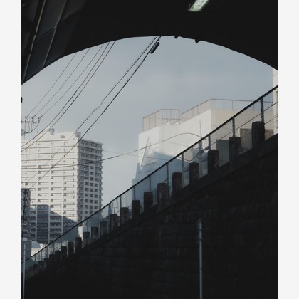 岡村公平が撮影したその他の写真