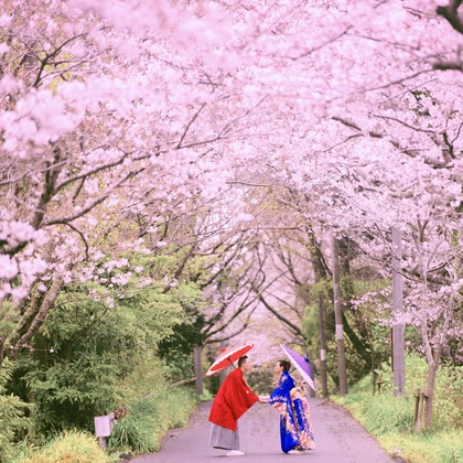 8StarWeddingが撮影した「佐原」の写真