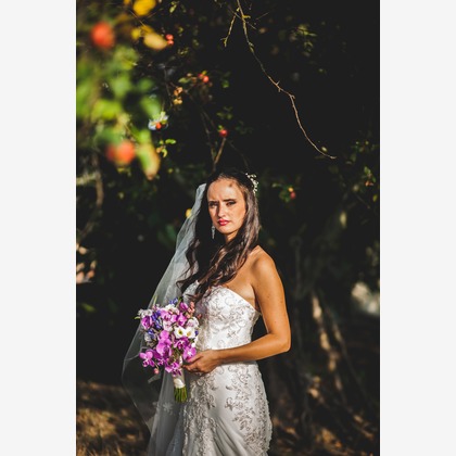 Photo of :albumName taken by FotoStradaFacendo