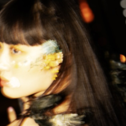 福島　友紀が撮影したウェディングや家族、ビジネスの写真