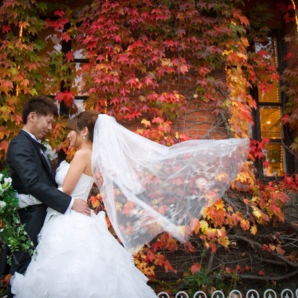 Photo of  taken by B'point photo