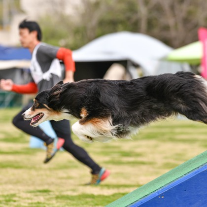 スタジオファンタスが撮影した「:albumName」の写真