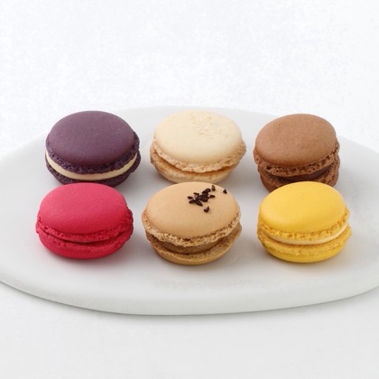 森安　照が撮影した「:albumName」の写真