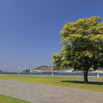 白石隆一郎が撮影したイベント/スナップ撮影の写真