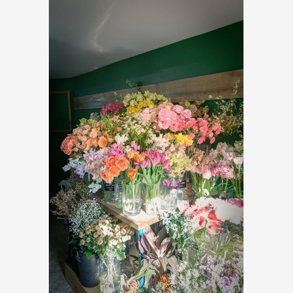 戸澤麻衣が撮影した「:albumName」の写真