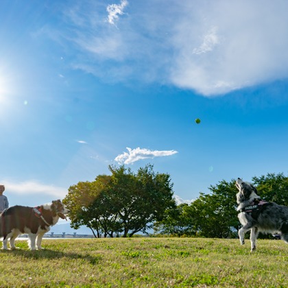 フォトグラフ山王が撮影した「:albumName」の写真