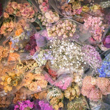 戸澤麻衣が撮影した「:albumName」の写真