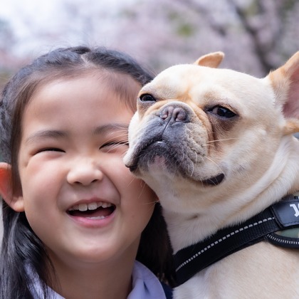 大森光太郎・K-PHOTOが出張撮影した犬の敏捷性, 犬の供給, 子鹿などが写った「ペット撮影」の家族写真