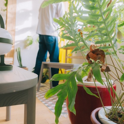 MIFUNEが撮影したウェディングや家族、ビジネスの写真