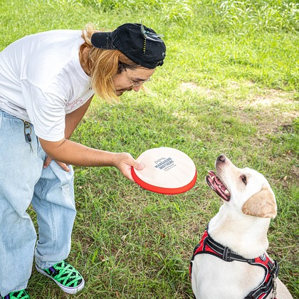 吉田佳央が撮影した「:albumName」の写真