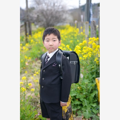 アラタンホヤガが撮影した「:albumName」の写真