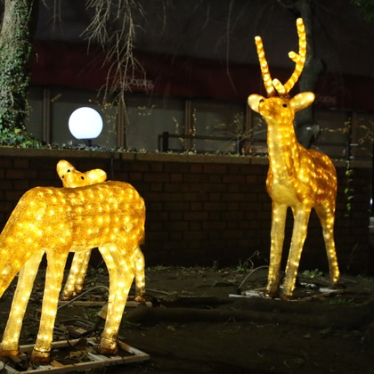 ＮＫ フォトエージェンシーが撮影したその他の写真