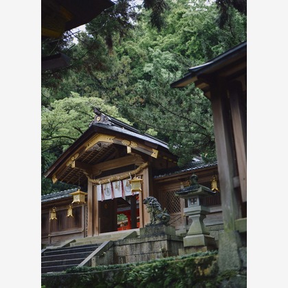 NISHIMURA AKINOBUが撮影したウェディング・結婚の写真