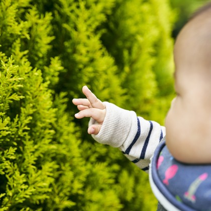 大橋裕紀が撮影した家族写真の出張撮影の写真