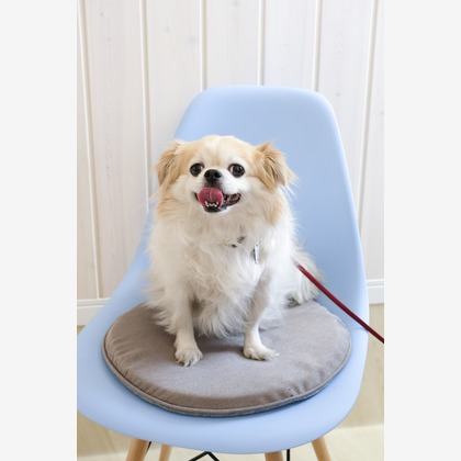 クマが撮影した「:albumName」の写真