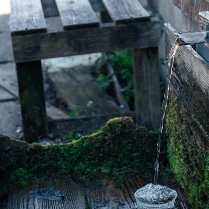 studio cactusが撮影した商品/物撮りの写真