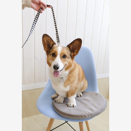 クマが撮影した「ペット撮影」の写真