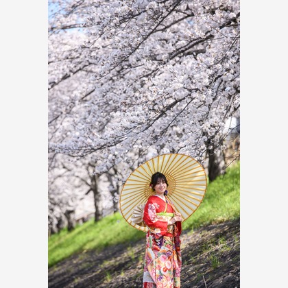 Visual Imagingが撮影した「:albumName」の写真