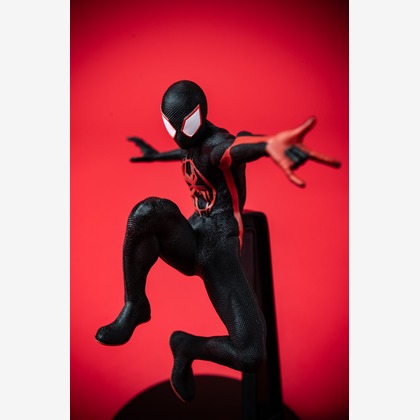 写真屋ごんちゃんが撮影した「:albumName」の写真