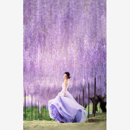 Lucas Shu Photographyが撮影したウェディングや家族、ビジネスの写真