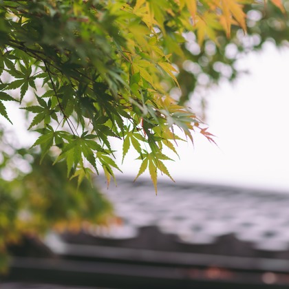 Photo of :albumName taken by Y スタジオ