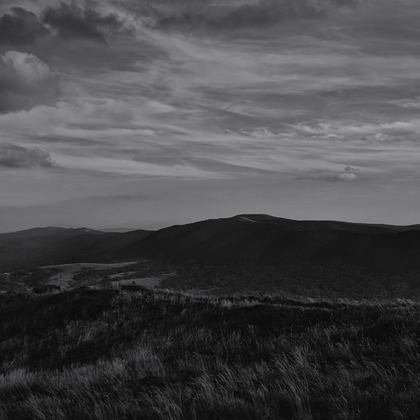 Subtle Studio       が撮影したウェディングや家族、ビジネスの写真