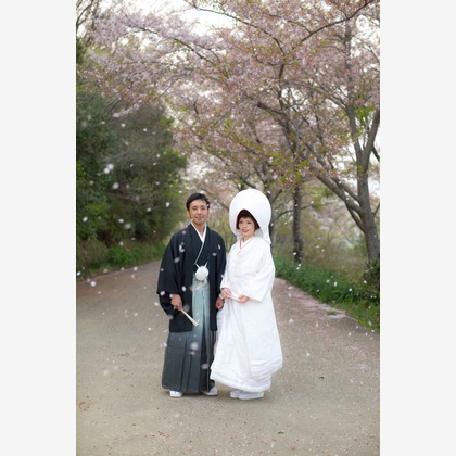 阿部写真館　徳島本店（北原 慎也）が撮影した「:albumName」の写真