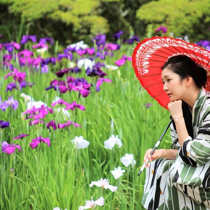 お祝い写し屋が撮影した「:albumName」の写真