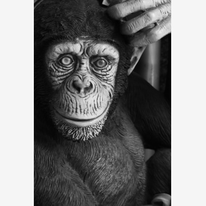 Green Backasが撮影したイベント/スナップ撮影/人物撮影の写真