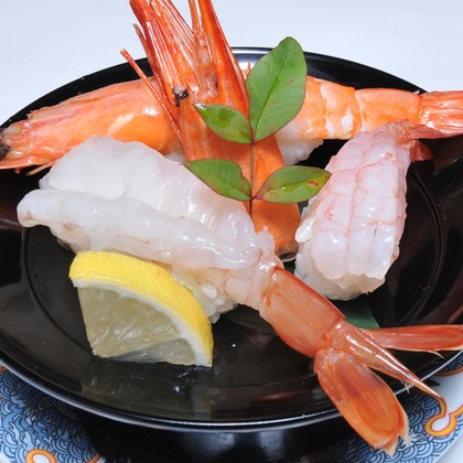 藤尾輝弘/フォトオフィスバドが撮影した「:albumName」の写真